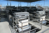 Tomato Processing Plant including Canning Lines 1
