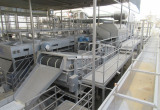 Tomato Processing Plant including Canning Lines 12
