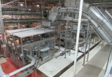 Tomato Processing Plant including Canning Lines 10