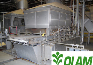 Spice & Vegetable Processing Equipment Auction