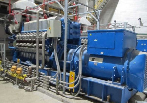 Wartsila Series 220 Powered 15Mw Gas Power Plant
