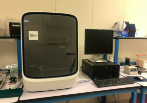 QuantStudio 7 Flex Real-Time PCR System
