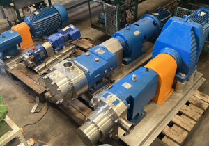 Stainless steel lobe pumps