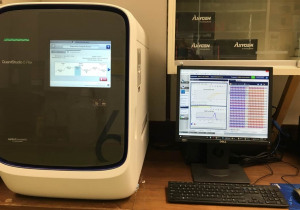 Applied Biosystems QuantStudio 6 Flex Real-Time PCR System