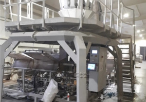 Tauras Phoenix 2 Pitpak-05 Multihead weigher