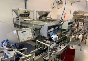 Used Kalish 8106 Swiftpack 12 Lane with electronic tablet/capsule Counter with Conveyor