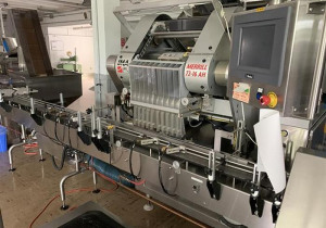 Solid Dose Filling Line Featuring Ima/Merrill Slat Counter