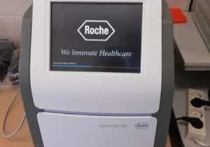 Roche LightCycler 96 Real time PCR
