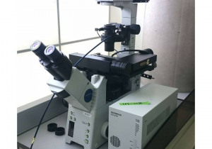 Microscópio Olympus IX81F