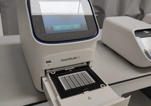 Applied Biosystems QuantStudio 3 real-tme PCR system