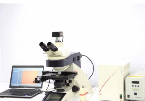 Microscopio motorizado de fluorescencia vertical Leica DM6000