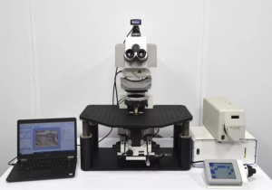 Zeiss AXIO Examiner.Z1 Microscópio motorizado de fluorescência