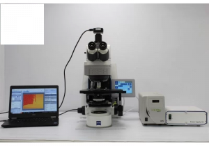 Microscópio motorizado de fluorescência Zeiss AXIO Imager.M2