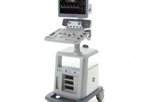 GE Logiq P6 Ultrasound