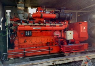 Centrale elettrica a gas containerizzata da 725 kW Guascor FGLD 480