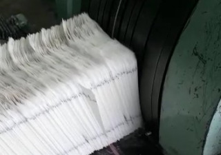 Macchina per la produzione di borse piatte/a cartella revisionata con stampante in linea a 2 colori