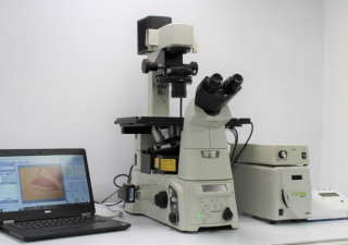 Microscópio de fluorescência invertida Nikon Ti-E