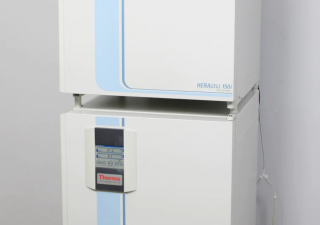 Used Thermo Scientific Heracell 150i