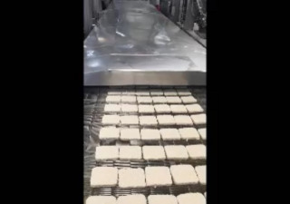 Fritadeira Menzing Titan 1.000 Lb/Hora Inox Contínua a Gás Usada