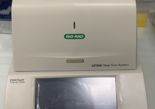 CFX96 TouchSystème de détection PCR en temps réel n°2