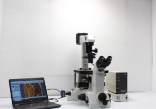 Microscopio a contrasto di fase a fluorescenza invertita Nikon Eclipse TE300