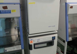 Thermo Scientific Heracell Vios 160i Double Stack CO2 Incubators