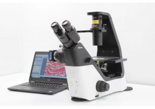 Microscopio a contrasto di fase a fluorescenza LED invertito Nikon Eclipse Ts2-FL